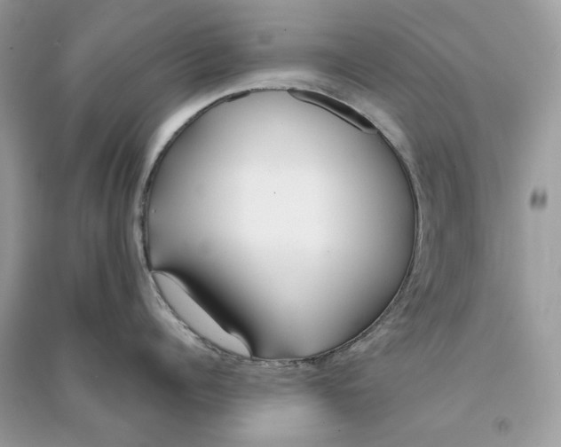 X0000090750960200708101722