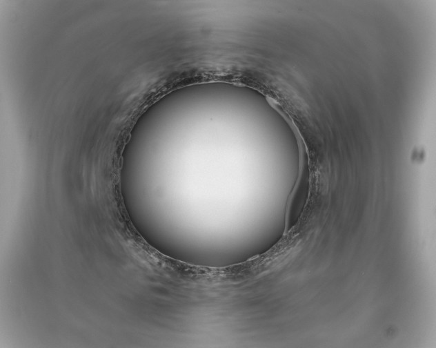 X0000090750961200708101721