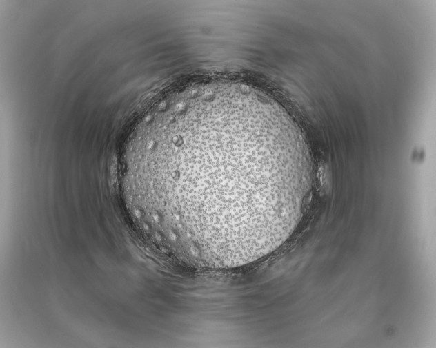 X0000090750963200708101721