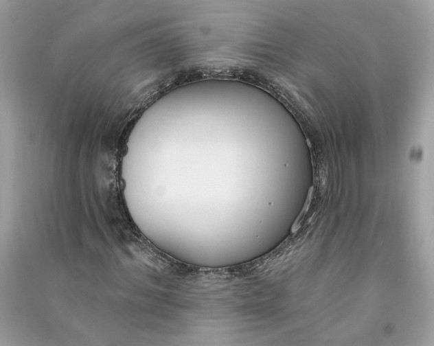 X0000090750964200708101721