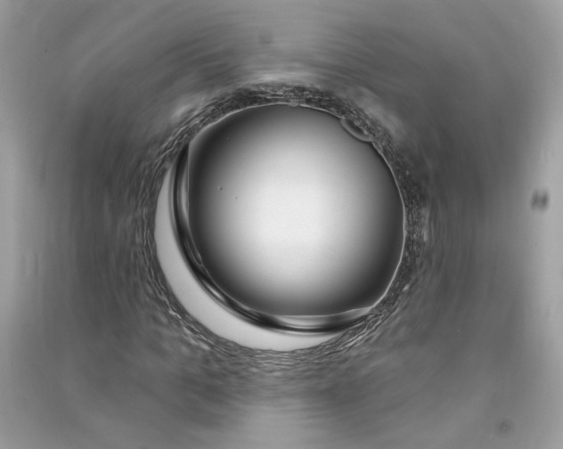 X0000090750965200708101721