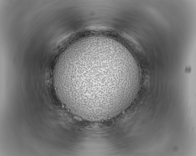 X0000090750966200708101721