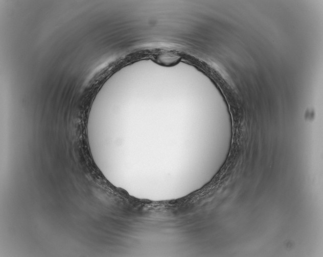 X0000090750967200708101721