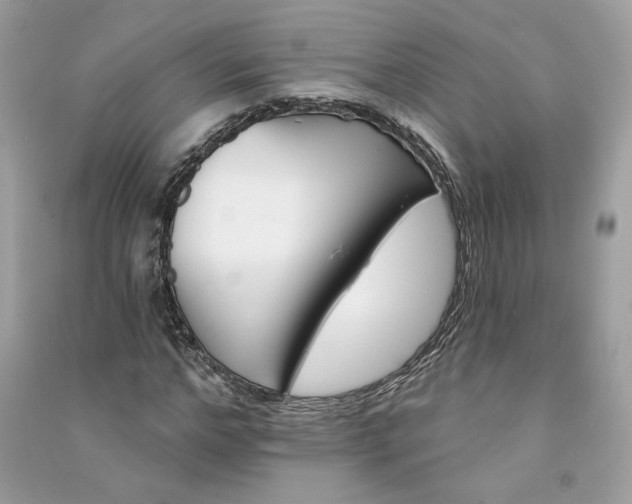 X0000090750968200708101721