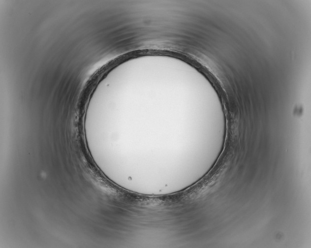 X0000090750971200708101721