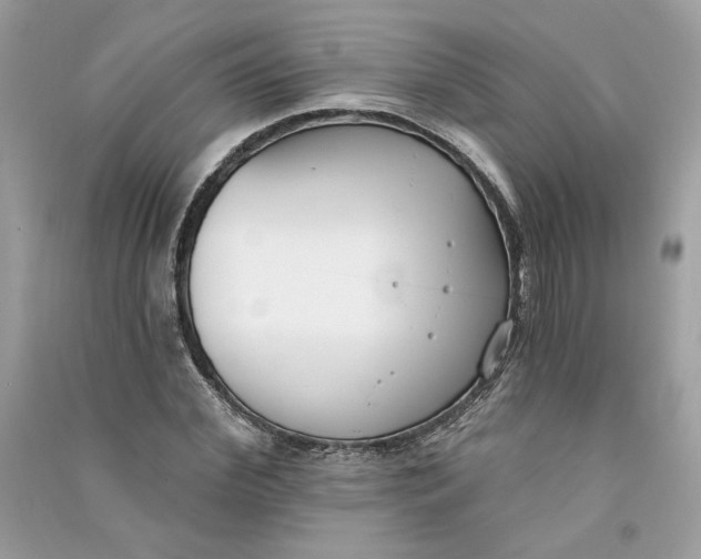 X0000090750972200708101721