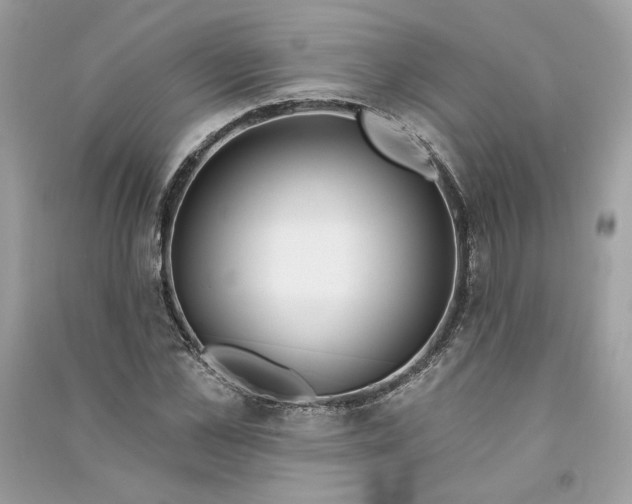 X0000090750973200708101721