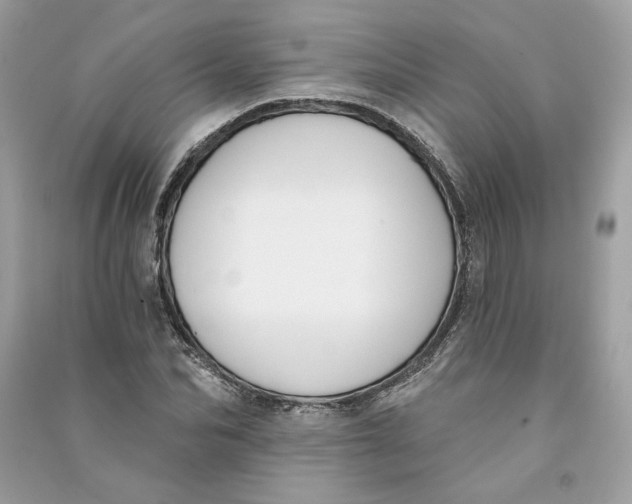 X0000090750974200708101721