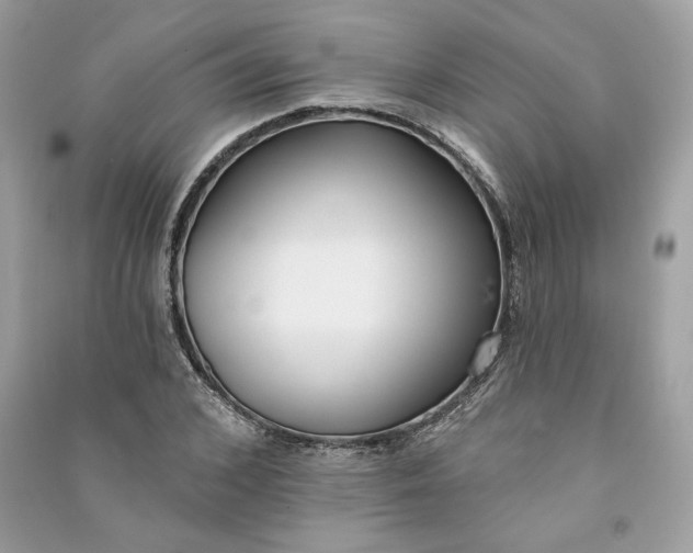 X0000090750976200708101721