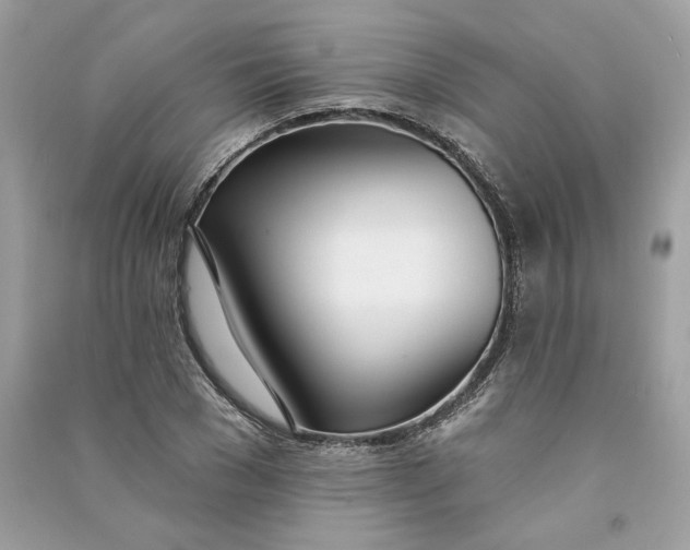 X0000090750977200708101721