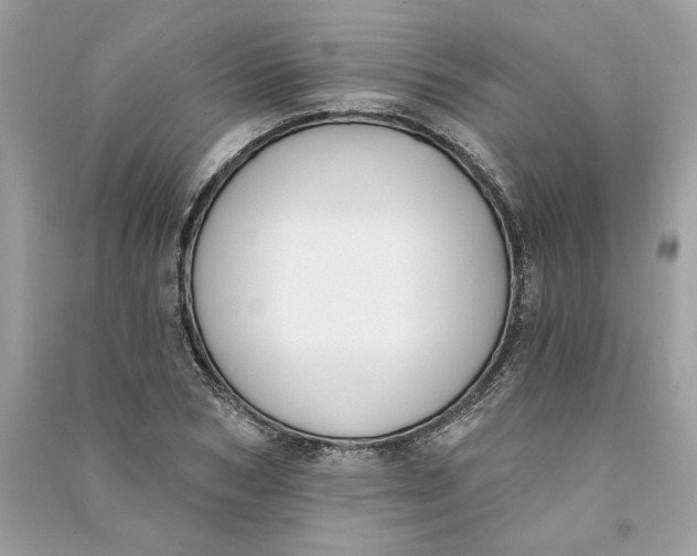 X0000090750978200708101721