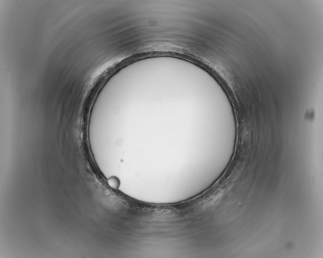 X0000090750979200708101721