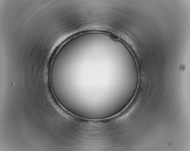 X0000090750981200708101721