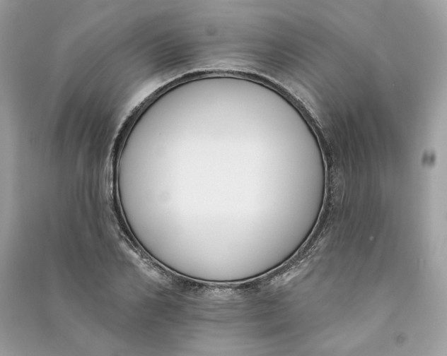 X0000090750982200708101721