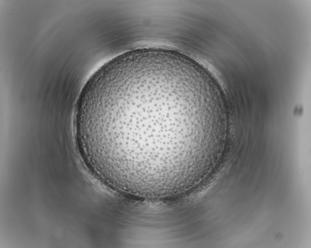 X0000090750983200708101721