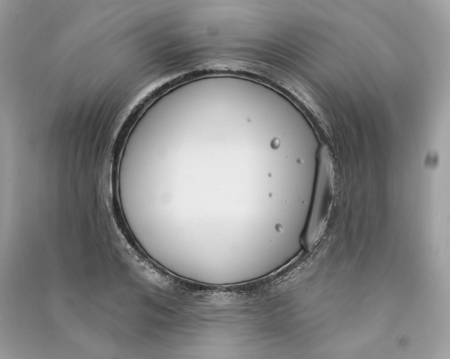 X0000090750984200708101721