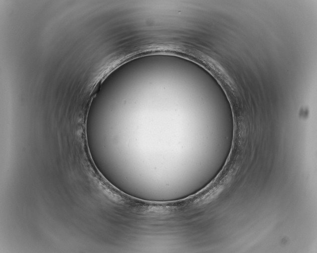 X0000090750985200708101721