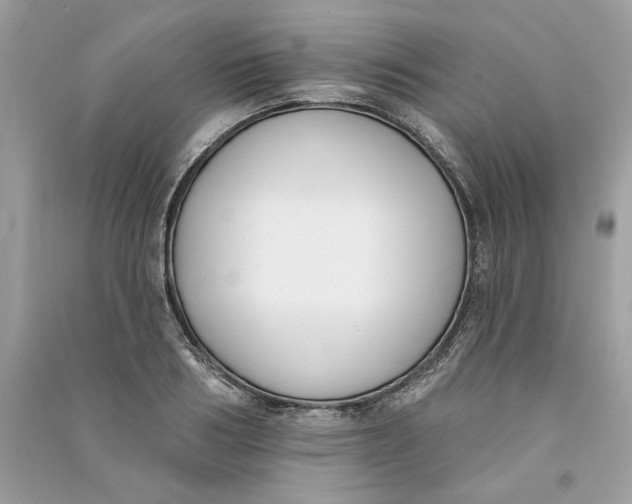 X0000090750986200708101721