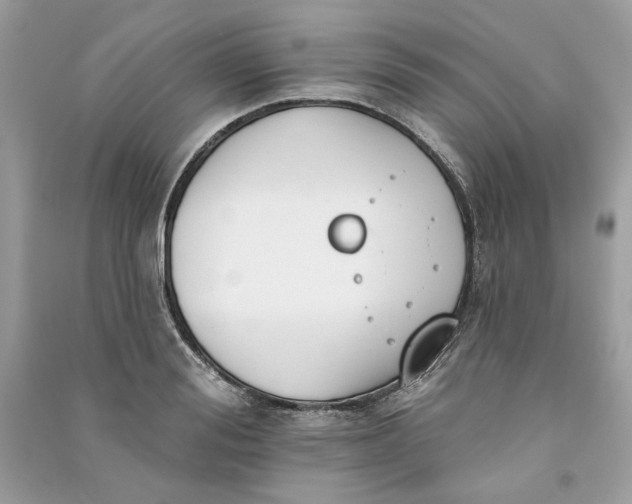 X0000090750988200708101721