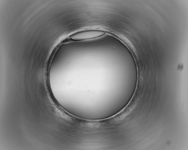 X0000090750989200708101721