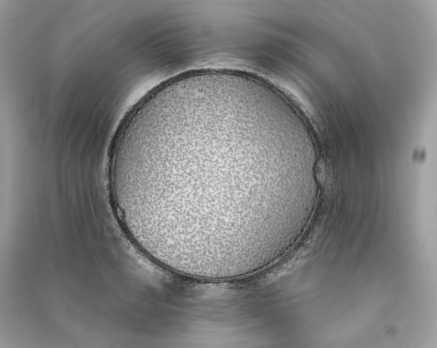 X0000090750990200708101721