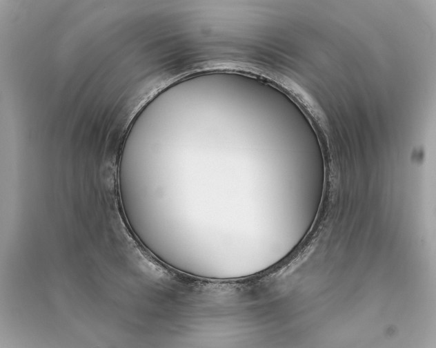 X0000090750993200708101721