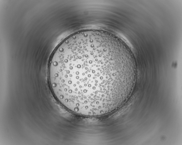 X0000090750994200708101721