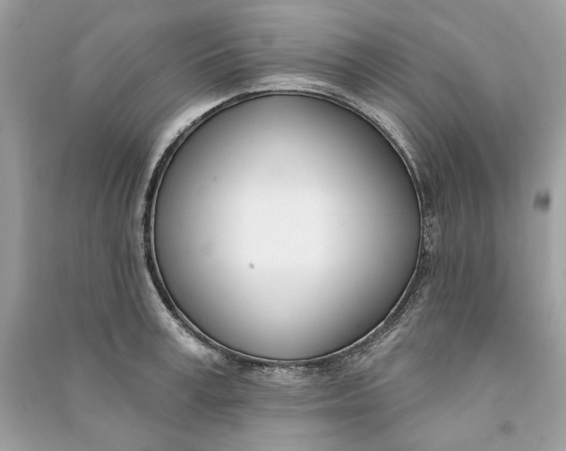 X0000090750995200708101721