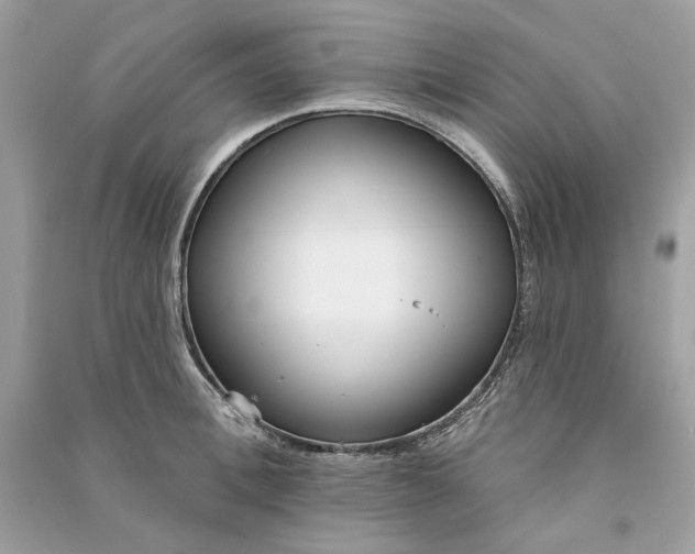 X0000090750996200708101721