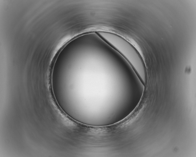 X0000090750997200708101721