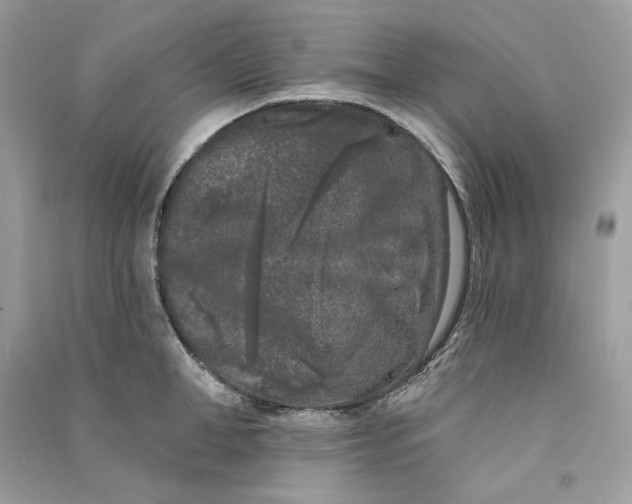 X0000090750998200708101721