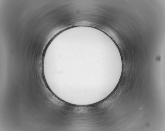 X0000090751000200708101721