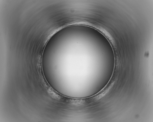 X0000090751001200708101721