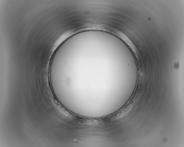 X0000090751002200708101721