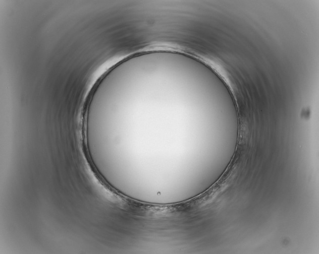 X0000090751003200708101721