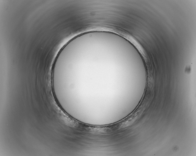 X0000090751004200708101721