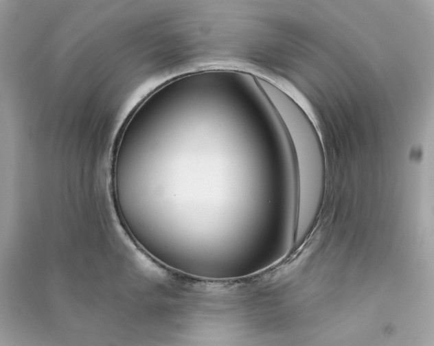 X0000090751005200708101721