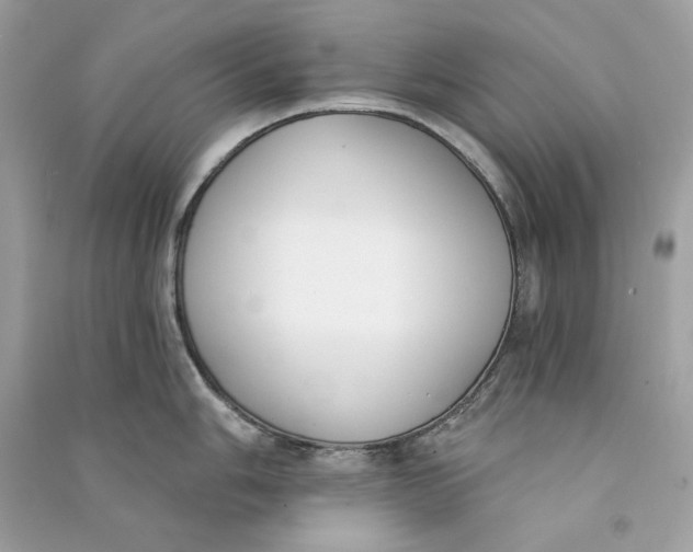 X0000090751006200708101721