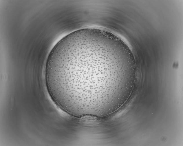 X0000090751007200708101721