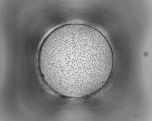 X0000090751008200708101721