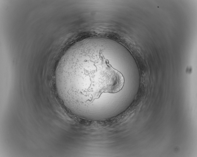 X0000090751009200708101720