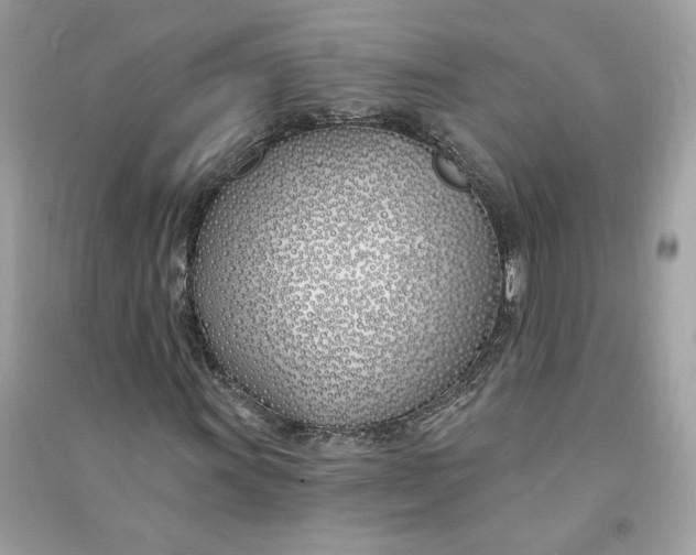 X0000090751011200708101720