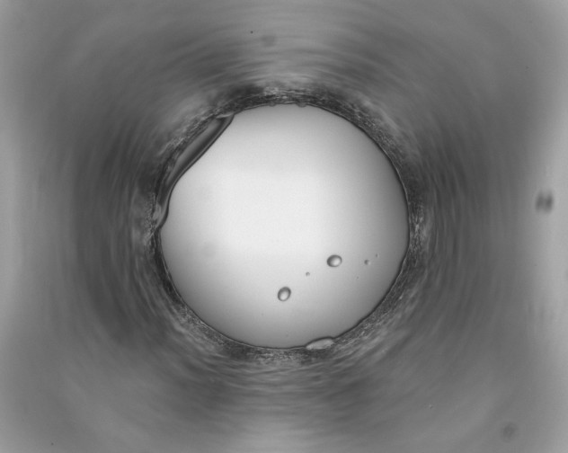 X0000090751012200708101720