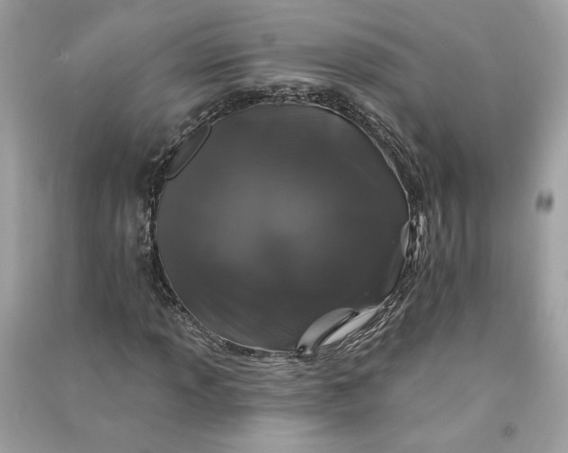 X0000090751013200708101720