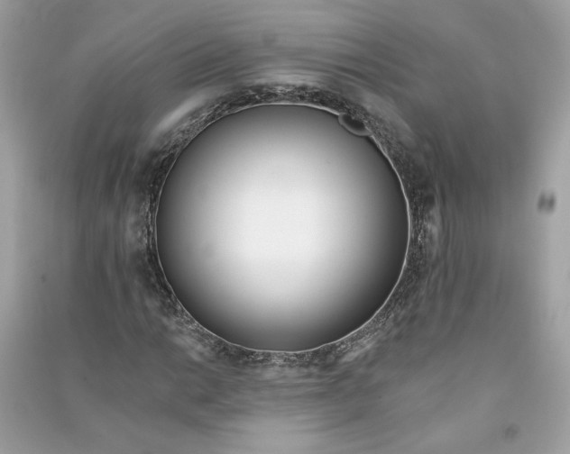 X0000090751014200708101720