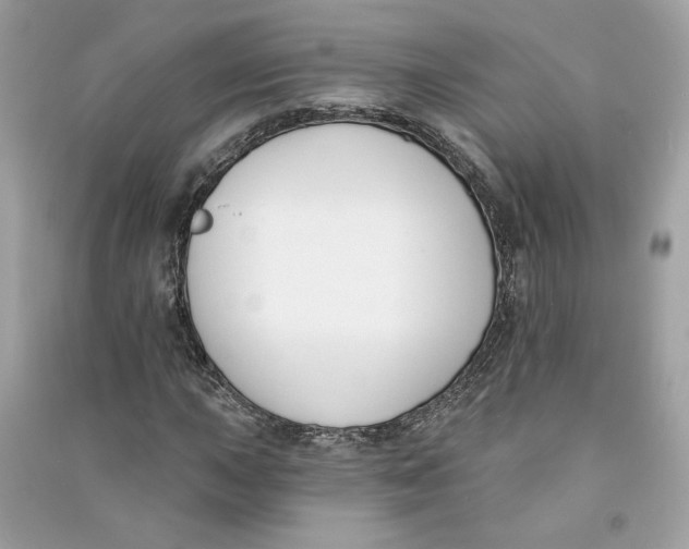 X0000090751015200708101720