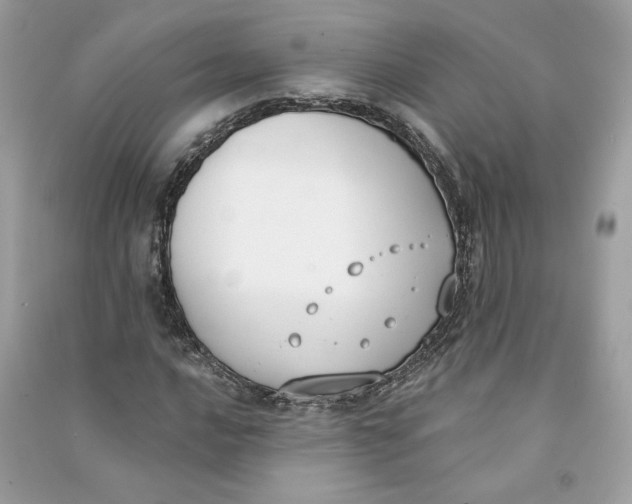 X0000090751016200708101720