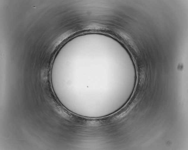 X0000090751017200708101720