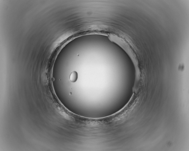 X0000090751018200708101720