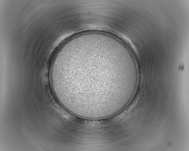 X0000090751019200708101720